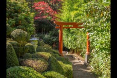 Forest Glade Gardens Outing (Norman Blaikie ©)