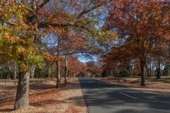 Forest Glade Gardens Outing (David Davidson ©)