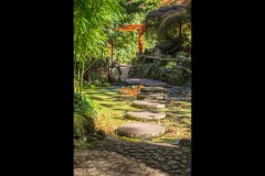 Forest Glade Gardens Outing (Norman Blaikie ©)