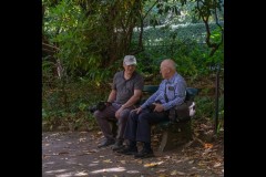 Forest Glade Gardens Outing (David Davidson ©)