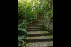 Forest Glade Gardens Outing (Jenny Hartman ©)