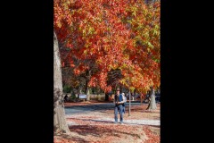 Forest Glade Gardens Outing (Jim Weatherill ©)