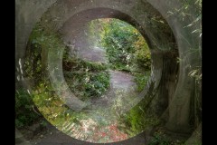 Forest Glade Gardens Outing (Jenny Hartman ©)