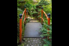 Forest Glade Gardens Outing (Norman Blaikie ©)