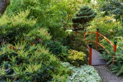 Forest Glade Gardens Outing (Phil Marley ©)