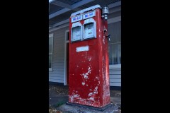 Forest Glade Gardens Outing (Doni Baz ©)