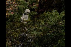 Forest Glade Gardens Outing (Bob Clothier ©)