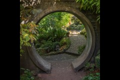 Forest Glade Gardens Outing (Norman Blaikie ©)