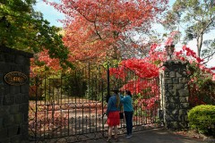 Forest Glade Gardens Outing (Sony Varma ©)