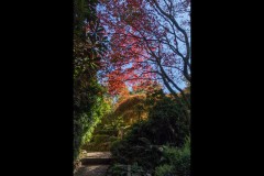 Forest Glade Gardens Outing (David Davidson ©)