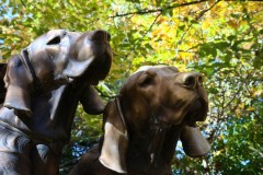 Forest Glade Gardens Outing (Doni Baz ©)