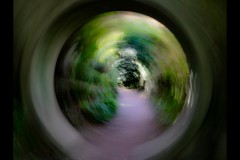 Forest Glade Gardens Outing (Jenny Hartman ©)