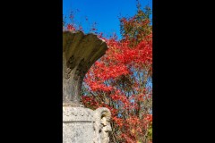 Forest Glade Gardens Outing (Jim Weatherill ©)