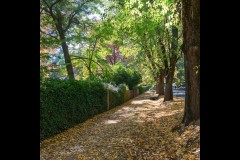 Forest Glade Gardens Outing (Michael Brown ©)