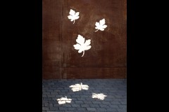 Forest Glade Gardens Outing (Norman Blaikie ©)