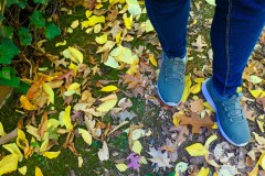 Forest Glade Gardens Outing (Sony Varma ©)