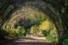 Forest Glade Gardens Outing (Norman Blaikie ©)