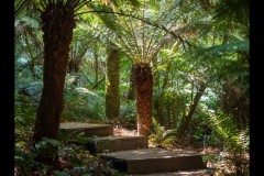 Forest Glade Gardens Outing (Jim Weatherill ©)