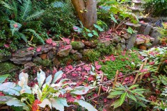 Forest Glade Gardens Outing (Sony Varma ©)