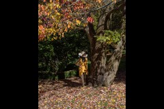 Forest Glade Gardens Outing (Bob Clothier ©)