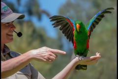 Healsville Sanctuary - 21 Jan 2025 (Mid-Week Group)