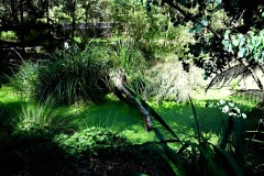 Healsville Sanctuary (Sony Varma ©)