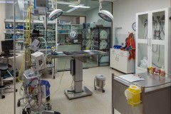 Healsville Sanctuary (Robert Fairweather ©)