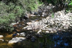 Healsville Sanctuary (Sony Varma ©)