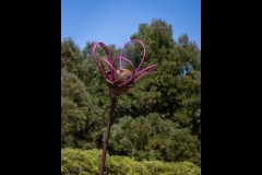 Healsville Sanctuary (Robert Fairweather ©)