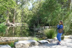 Healsville Sanctuary (Sony Varma ©)