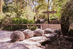 Healsville Sanctuary (Sony Varma ©)