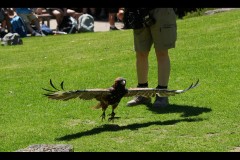 Healsville Sanctuary (Jon Hogan ©)