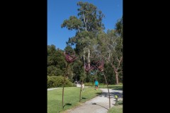 Healsville Sanctuary (David Davidson ©)