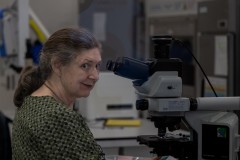 Healsville Sanctuary (Robert Fairweather ©)