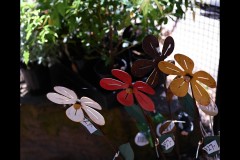 Healsville Sanctuary (Sony Varma ©)