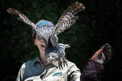 Healsville Sanctuary (Carolyn Brandt ©)