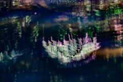 Healsville Sanctuary (Richard Faris ©)