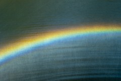 Healsville Sanctuary (Norman Blaikie ©)