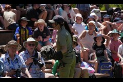 Healsville Sanctuary (Jon Hogan ©)