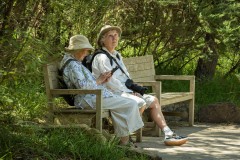 Healsville Sanctuary (Norman Blaikie ©)