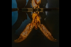 Hellenic Museum Outing (Robert Fairweather ©)