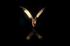 Hellenic Museum Outing (Terry Noske ©)