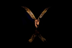 Hellenic Museum Outing (Norman Blaikie ©)