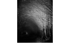 A winters tale - Melissa Jane Cachia (Commended - Open - B Grade - July 2019 PDI)