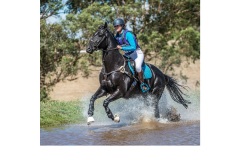 X Country Event - Graeme Diggle (Highly Commended - Open - B Grade - July 2019 PDI)