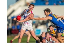 Watching Closely - Graeme Diggle (Commended - Open - B Grade - July 2019 PDI)