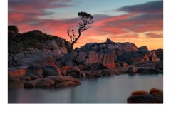 Sunrise Bay of Fires - Jane Clancy (Best - Open - A Grade - July 2019 PDI)