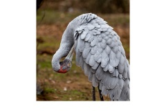 Which Way is Up - Kerrie Matthee (Commended - Open B Grade - Jun 2019 PDI)