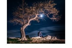 Deep Thoughts - Daryl Groves (Highly Commended - Open B Grade - Jun 2019 PDI)