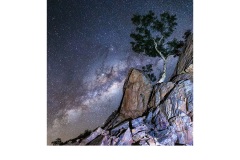 Outback Galactic - Kadri Elcoat (Highly Commended - Open A Grade - Jun 2019 PDI)